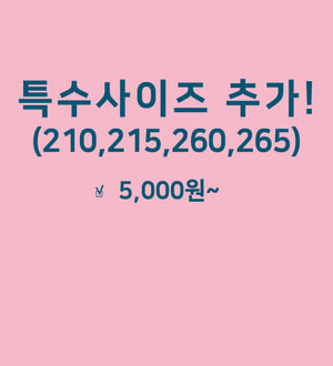 특수사이즈 추가결재창(210,215,260,265)